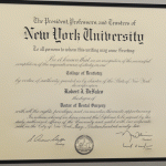 NYU College of Dentistry certificate